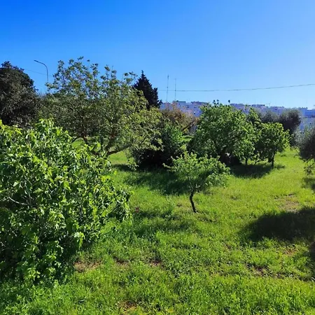 Tranquil Villa In Apulia Villa *