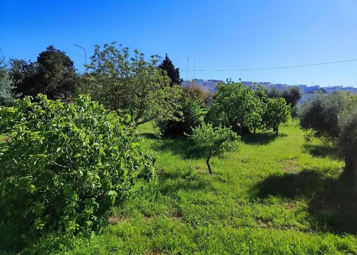 Tranquil Villa In Apulia Vila *